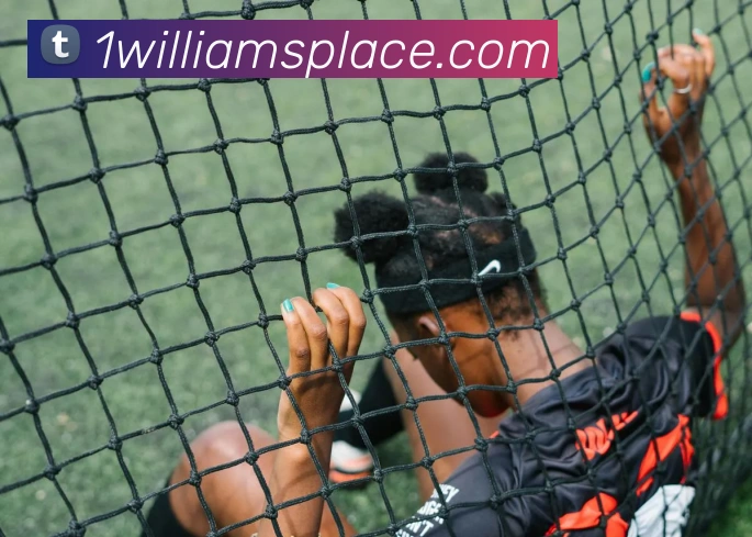 mksports登录入口APP 封面图